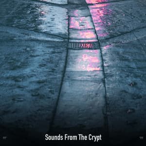 !!!!" Sounds From The Crypt "!!!! - Halloween Music