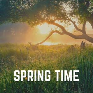 Spring Time - Life Sounds Nature