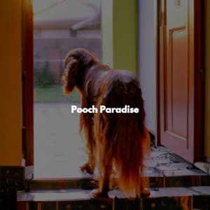 Pooch Paradise - Ruhige Morgenmusik Klassiker