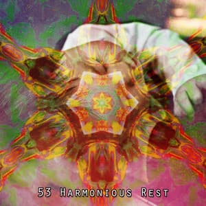53 Harmonious Rest - Sleep Music System