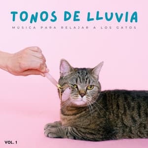 Tonos De Lluvia: Música Para Relajar A Los Gatos Vol. 1 - Sonidos de Lluvia para Relajarse