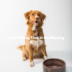 Dogs Chilling Time in the Morning - Coffee Shop Smooth Jazz
