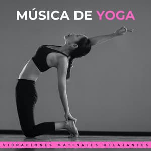 Música De Yoga: Vibraciones Matinales Relajantes - Curación manifiesta de energía en órbita de 741 Hz