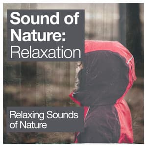 Sound of Nature: Relaxation - Relaxing Sounds Of Nature