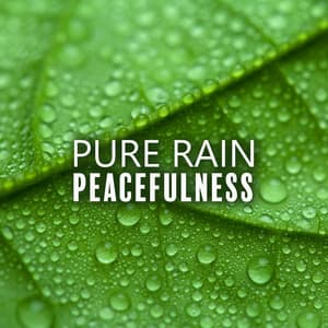 Pure Rain Peacefulness: Serene Sounds for Anxiety Relief, Soothing Sounds - Lightning, Thunder and Rain Storm