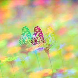 Dream-Like Music for Private Monday - Jazz-hop - Lo-Fi