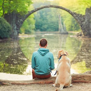 Relaxation Zen: Tranquil Music - The Calm Service