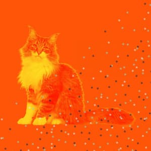 Music for Pure Cats - Calming Music for Cats