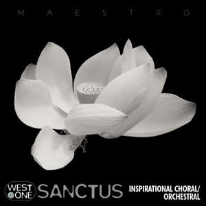 Sanctus - Paul Reeves