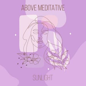 Above Meditative Sunlight - Massage Tribe