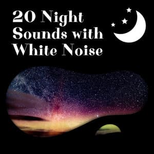 20 Night Sounds with White Noise, Loopable - Nature Recordings