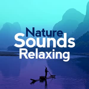 Nature Sounds Relaxing - Nature Sounds Relaxing