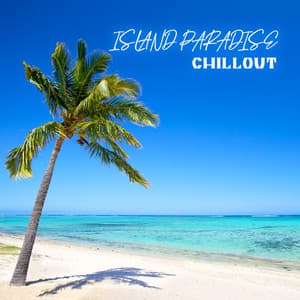 Island Paradise Chillout: Party Under The Palm Tree - Hawaiian Music