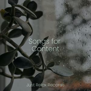 Songs for Content - Schlaflieder Für Kinder