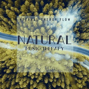 Internal Energy Flow. Natural Music Therapy - Natural New Age Maker!