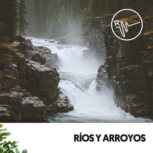 Ríos y Arroyos: Canciones de la Naturaleza - Ruido Blanco Hart