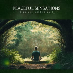 Peaceful Sensations - Focus Ambience