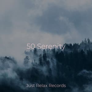 50 Serenity - Música Para Meditar y Relajarse