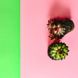 Soothing White Infant Noise to Sleep - Pink Noise Baby Sleep