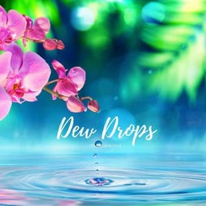 Dew Drops - Rain Sound Plus