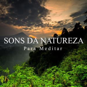 Sons da Natureza para Meditar - Meditação Música Ambiente