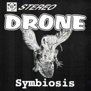 Symbiosis - Drone