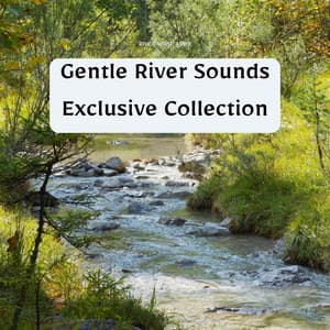 Gentle River Sounds Exclusive Collection - River Noise ASMR