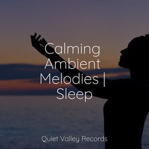 Calming Ambient Melodies | Sleep - White Noise for Babies