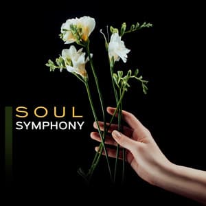 Soul Symphony - Gentle Instrumental Music Paradise