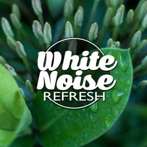 White Noise: Refresh - White Noise For Baby Sleep