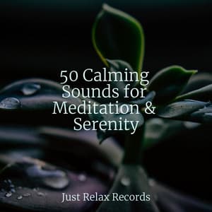 50 Calming Sounds for Meditation & Serenity - Soothing Sounds
