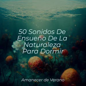 50 Sonidos De Ensueño De La Naturaleza Para Dormir - El hada de las canciones de cuna