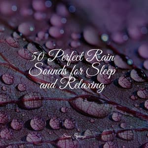50 Perfect Rain Sounds for Sleep and Relaxing - Sleep Songs 101