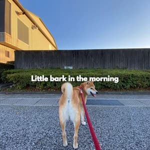 Little bark in the morning - Musica para Perros