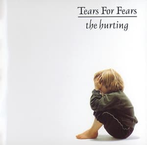 The Hurting - Tears For Fears