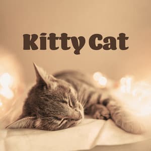 Kitty Cat - Calm Animals Music