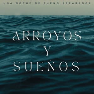 Arroyos Y Sueños: Una Noche De Sueño Reparador - Arroyos Ventosos