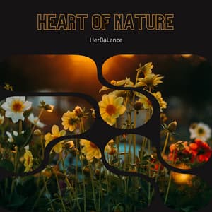 Heart of Nature: The Strength of Calendula Flower - HerBaLance