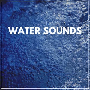 Waters Sounds - Water Soundscapes