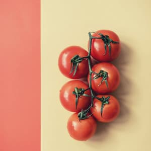 Urbane Music for Baking Together - No Drums Jazz - Coffee House Jazz Radio