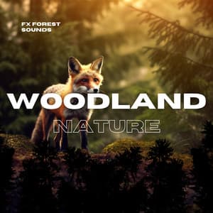 Woodland Nature, Forest Sounds - FX Forest Sounds