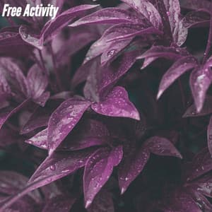 Free Activity - Jazz para Estudiar