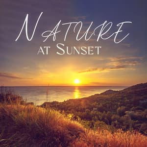 Nature at Sunset: Soothing Relaxing Melodies, Deeply Stress-Relieving Nature Sounds, Peaceful Instrumental Music For Unwinding - Nature Music Pregnancy Academy