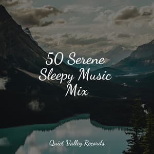 50 Serene Sleepy Music Mix - ASMR Sleep Sounds