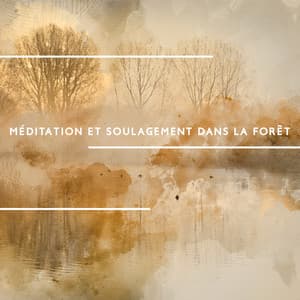 Méditation et soulagement dans la forêt, Bruit des oiseaux - Musique de Réflexion Academy