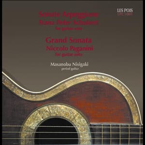 Sonate Arpeggione - Masanobu Nisigaki