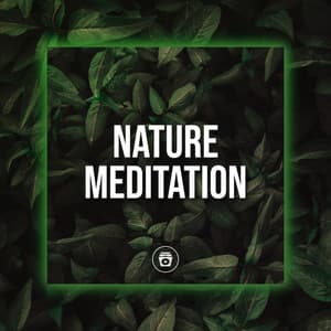 Nature Meditation - Rainforest Sounds