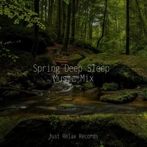 Spring Deep Sleep Music Mix - kinderliedjes