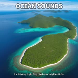 #1 Ocean Sounds for Relaxing, Night Sleep, Wellness, Neighbor Noise - Ocean Waves