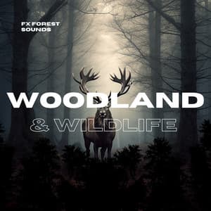 Woodland & Wildlife Nature Sounds - FX Forest Sounds